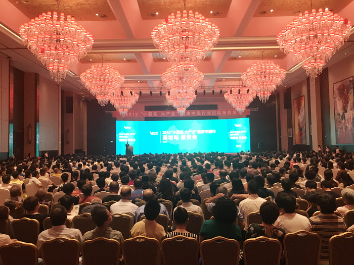 專(zhuān)題報(bào)道