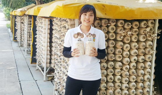 圖片關鍵詞 圖片關鍵詞