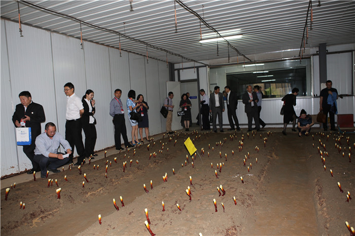 圖片關鍵詞 圖片關鍵詞