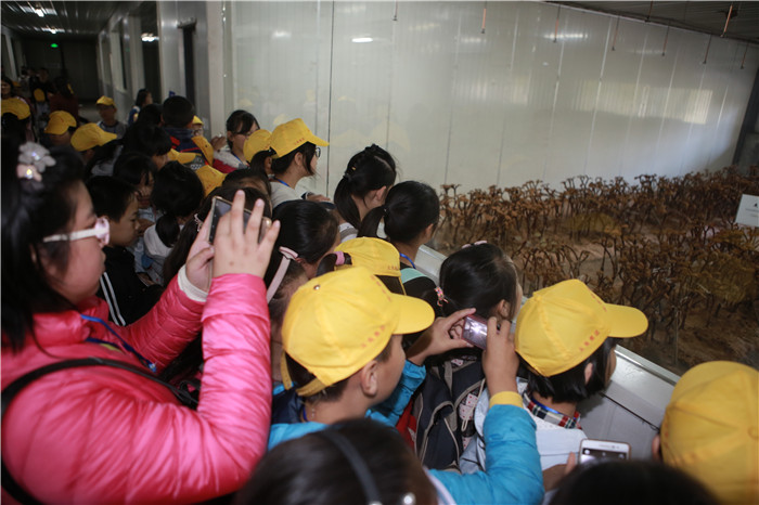 圖片關鍵詞 圖片關鍵詞