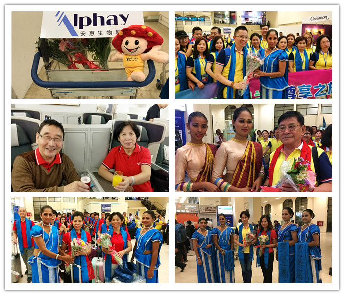 圖片關鍵詞 圖片關鍵詞