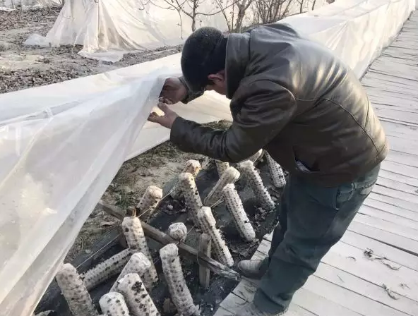 圖片關鍵詞 圖片關鍵詞