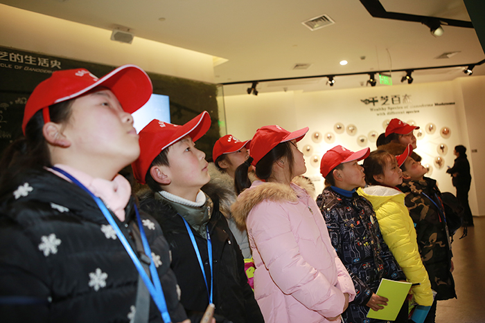 圖片關(guān)鍵詞 圖片關(guān)鍵詞