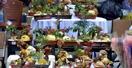 圖片關鍵詞 圖片關鍵詞