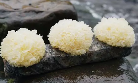 圖片關(guān)鍵詞 http://www.yidajiaxiao.cn/ewebeditor/uploadfile/20180328092751720001.png