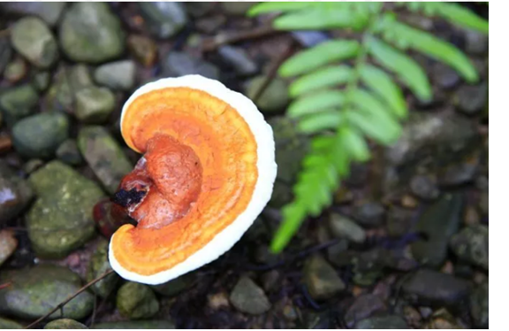 圖片關鍵詞 圖片關鍵詞