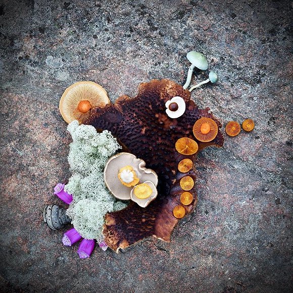 圖片關鍵詞 http://img3.jiemian.com/jiemian/original/20171123/151141488724866900_a580xH.jpg