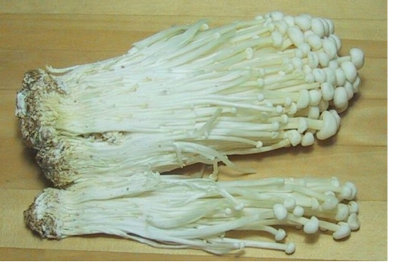 圖片關鍵詞 圖片關鍵詞