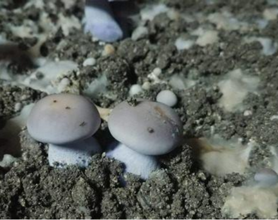 圖片關鍵詞 圖片關鍵詞