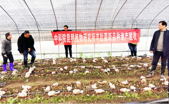 圖片關鍵詞 圖片