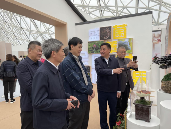 圖片關鍵詞 圖片