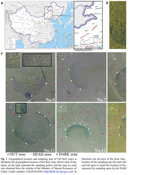 圖片關鍵詞 圖片關鍵詞