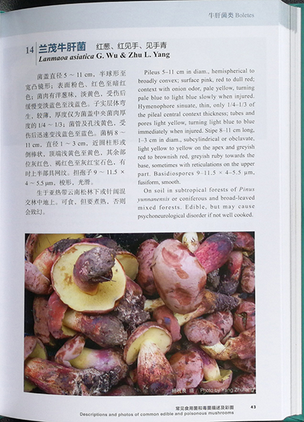 圖片關鍵詞 圖片關鍵詞