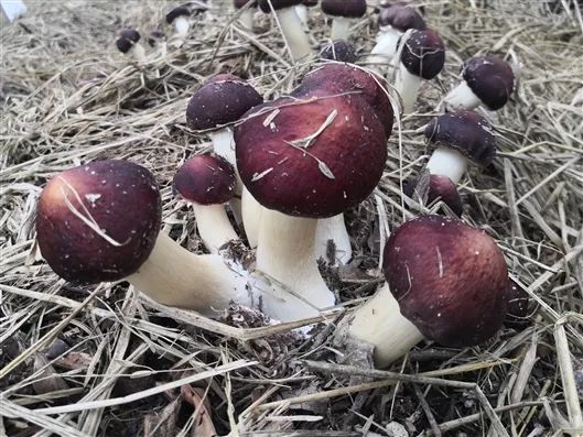 圖片關(guān)鍵詞 圖片