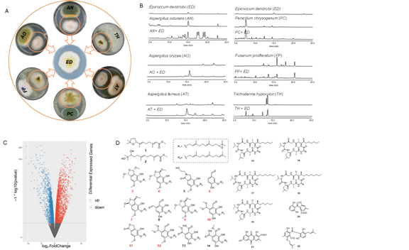 圖片關(guān)鍵詞 圖片關(guān)鍵詞