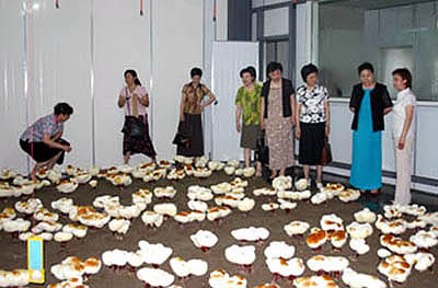 圖片關(guān)鍵詞 圖片關(guān)鍵詞