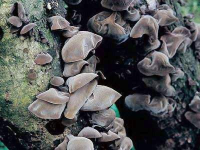 圖片關鍵詞 圖片關鍵詞