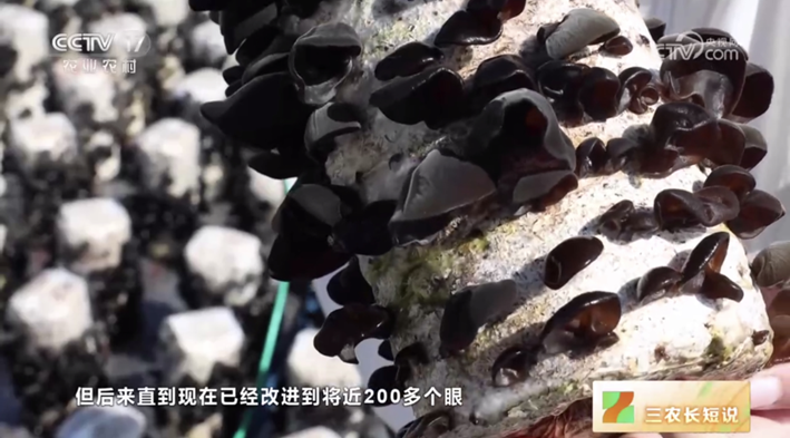 圖片關(guān)鍵詞 圖片關(guān)鍵詞