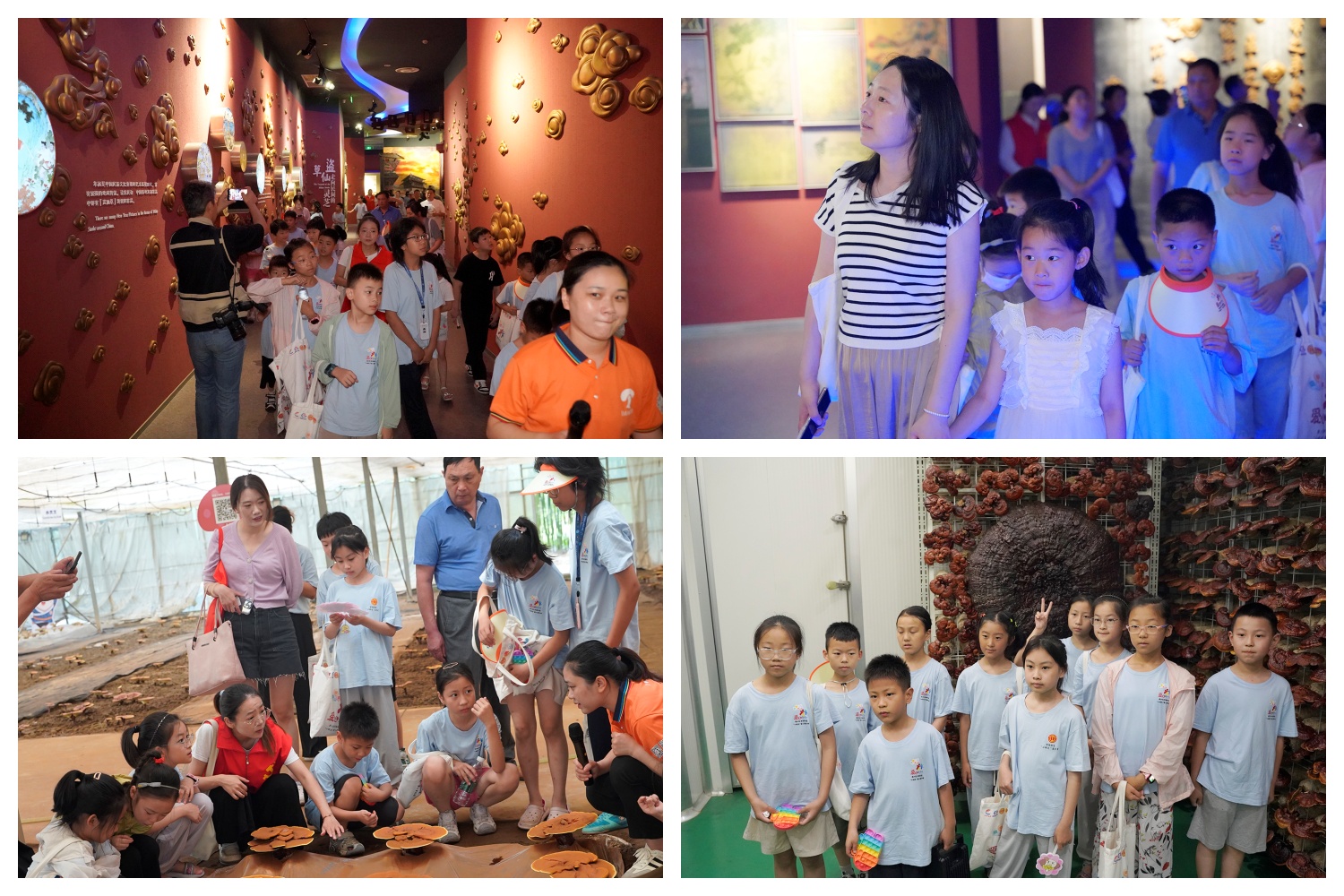 圖片關鍵詞 圖片關鍵詞