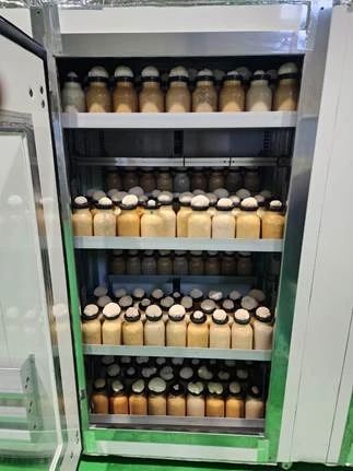 圖片關鍵詞 圖片關鍵詞