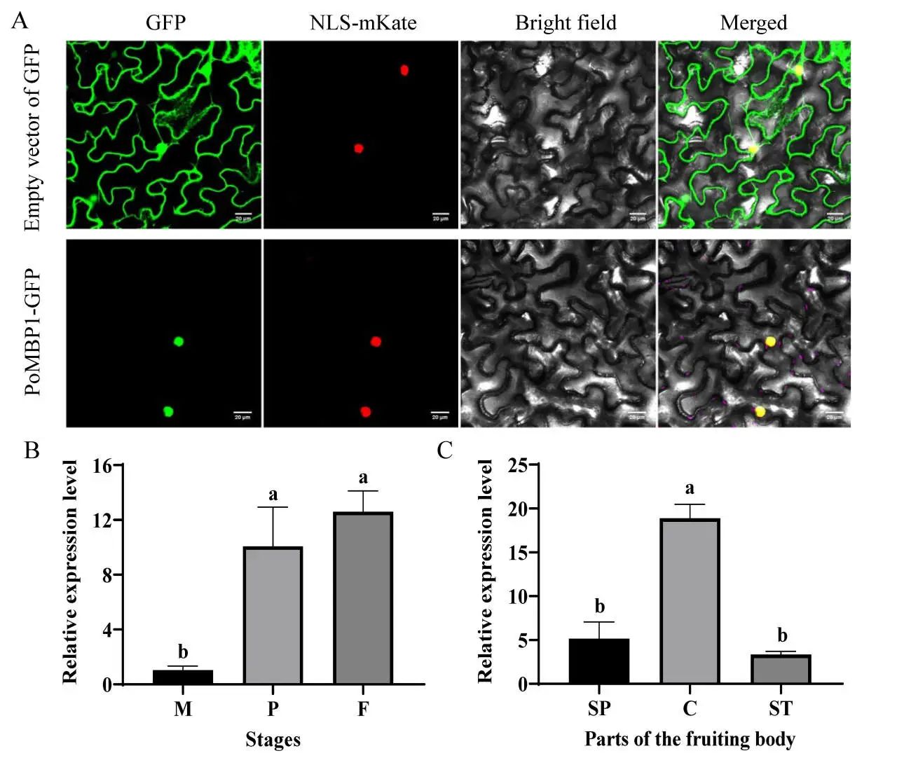 圖片關鍵詞 圖片關鍵詞