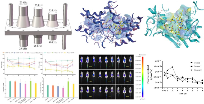 圖片關鍵詞 圖片關鍵詞