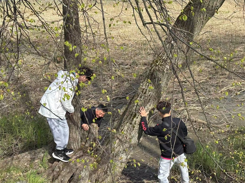 圖片關鍵詞 圖片關鍵詞