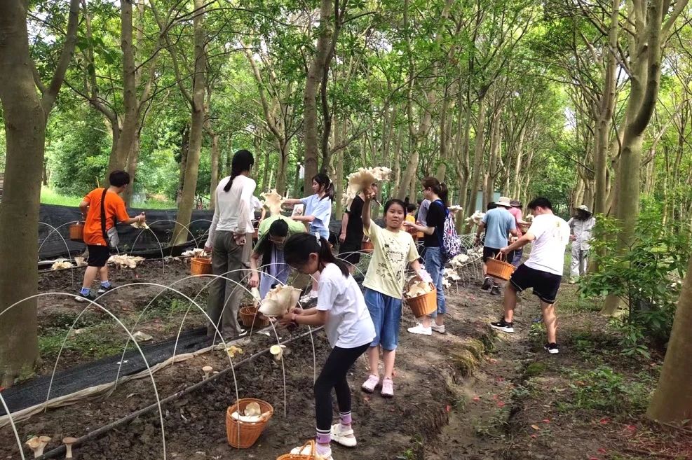 圖片關鍵詞 圖片關鍵詞