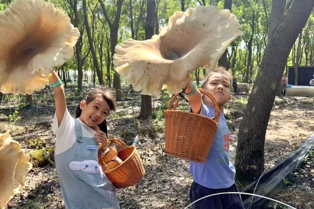 圖片關鍵詞 圖片關鍵詞
