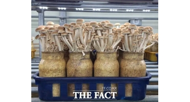 行業(yè)動態(tài)