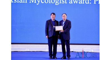 行業(yè)動(dòng)態(tài)