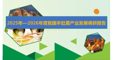 行業(yè)動(dòng)態(tài)